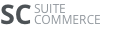 A.C.E. School of Tomorrow logo
